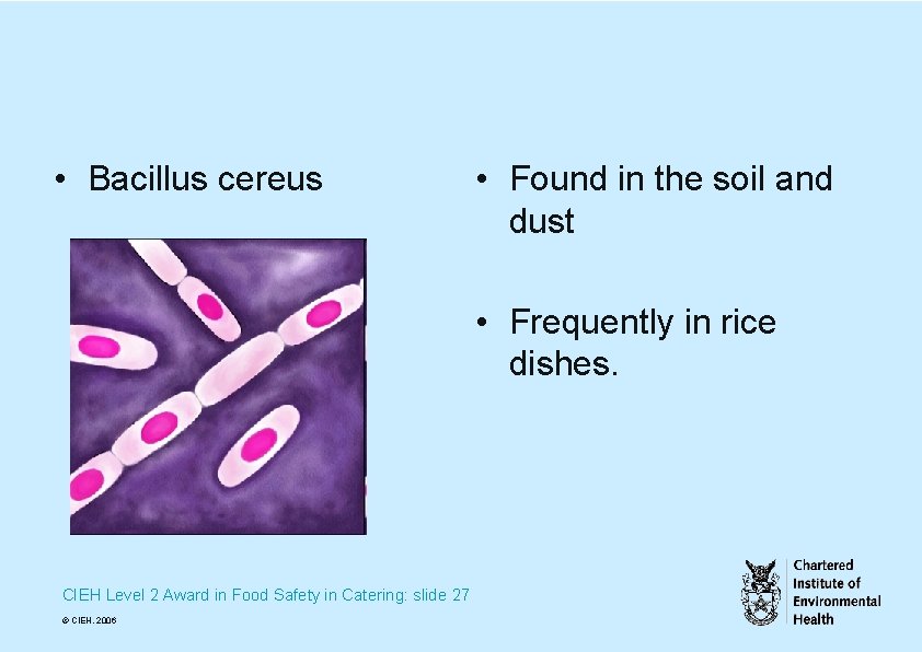  • Bacillus cereus • Found in the soil and dust • Frequently in