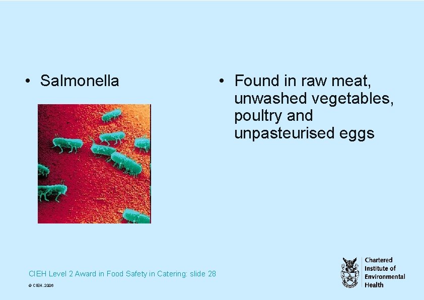  • Salmonella CIEH Level 2 Award in Food Safety in Catering: slide 28