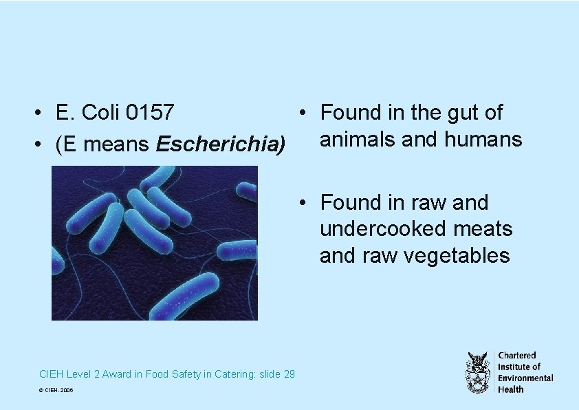  • E. Coli 0157 • Found in the gut of • (E means