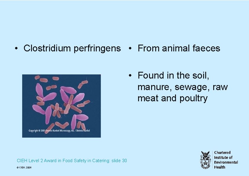  • Clostridium perfringens • From animal faeces • Found in the soil, manure,