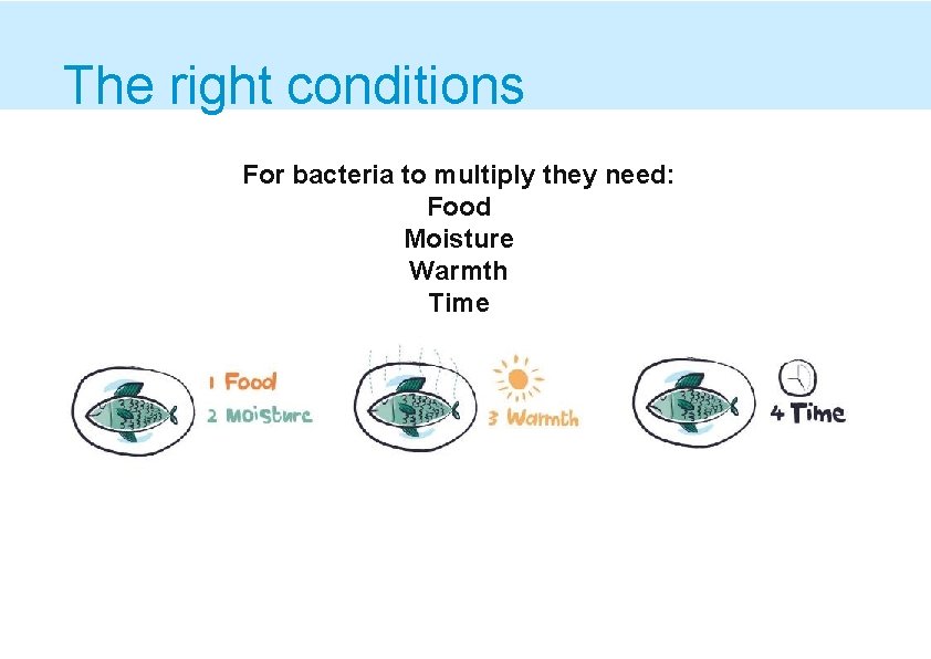 The right conditions For bacteria to multiply they need: Food Moisture Warmth Time CIEH