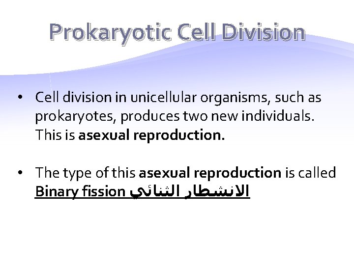 Prokaryotic Cell Division • Cell division in unicellular organisms, such as prokaryotes, produces two