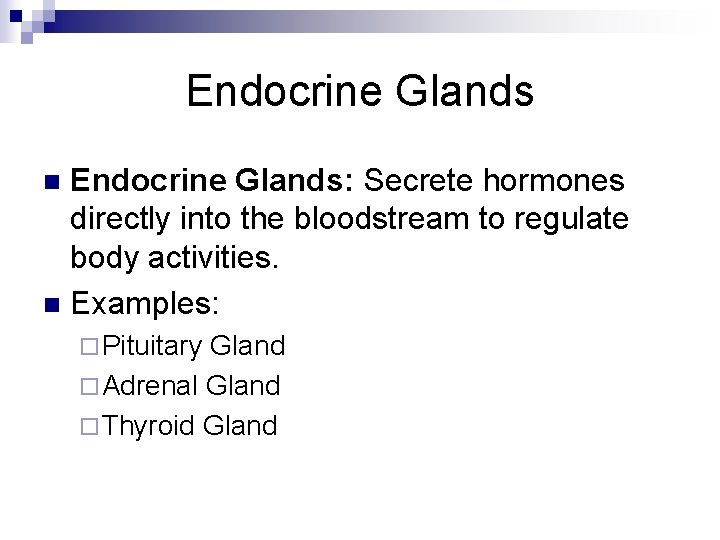 Endocrine Glands: Secrete hormones directly into the bloodstream to regulate body activities. n Examples: