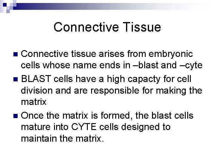 Connective Tissue Connective tissue arises from embryonic cells whose name ends in –blast and