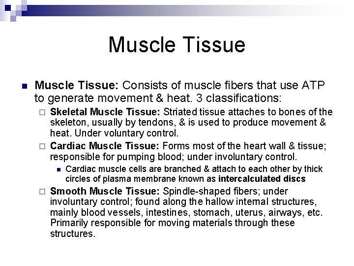 Muscle Tissue n Muscle Tissue: Consists of muscle fibers that use ATP to generate