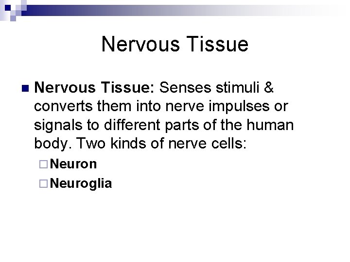 Nervous Tissue n Nervous Tissue: Senses stimuli & converts them into nerve impulses or