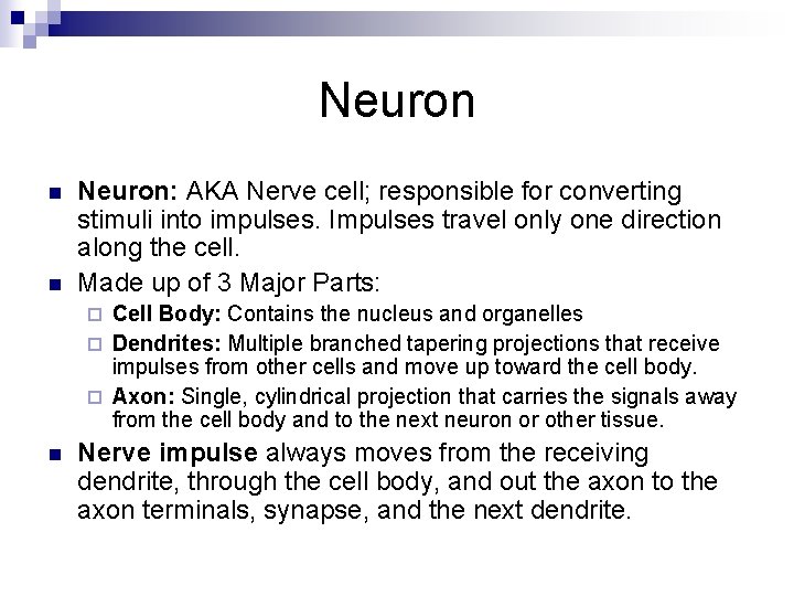 Neuron n n Neuron: AKA Nerve cell; responsible for converting stimuli into impulses. Impulses