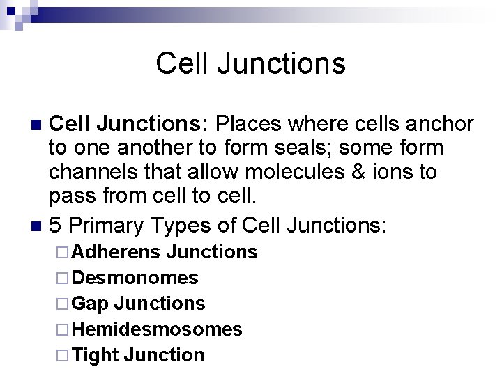 Cell Junctions: Places where cells anchor to one another to form seals; some form