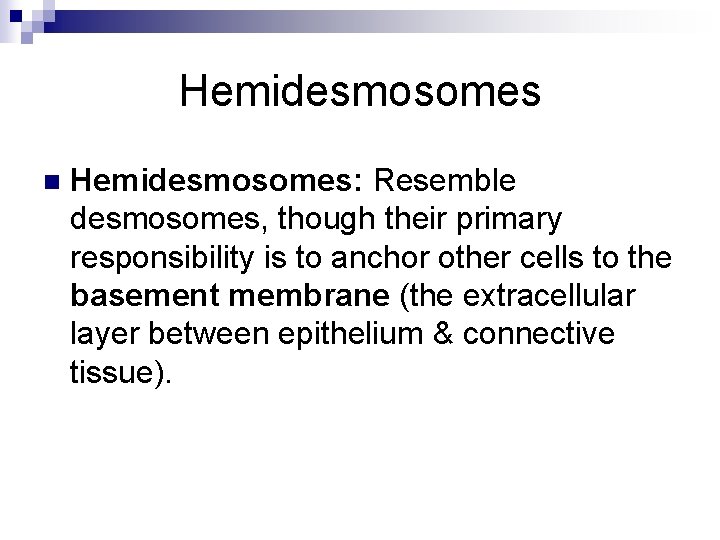 Hemidesmosomes n Hemidesmosomes: Resemble desmosomes, though their primary responsibility is to anchor other cells