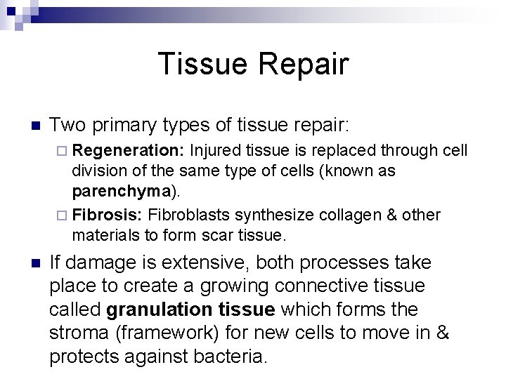 Tissue Repair n Two primary types of tissue repair: ¨ Regeneration: Injured tissue is