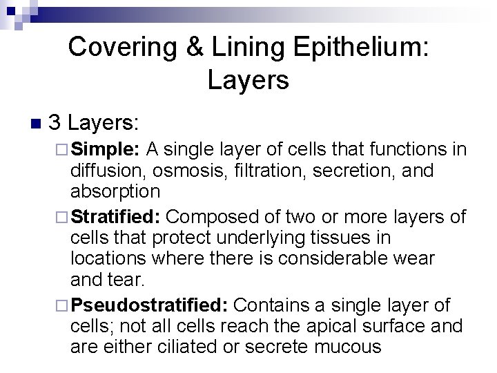 Covering & Lining Epithelium: Layers n 3 Layers: ¨ Simple: A single layer of