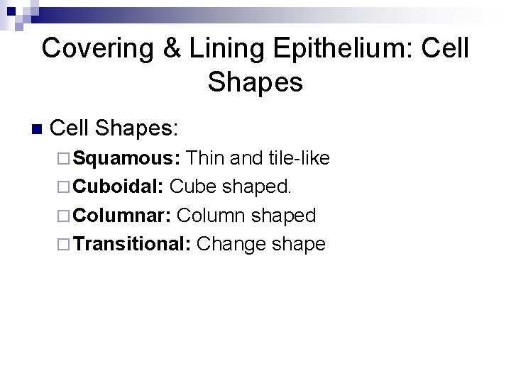 Covering & Lining Epithelium: Cell Shapes n Cell Shapes: ¨ Squamous: Thin and tile-like