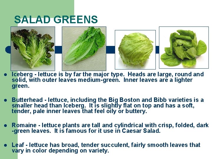 SALAD GREENS l Iceberg - lettuce is by far the major type. Heads are