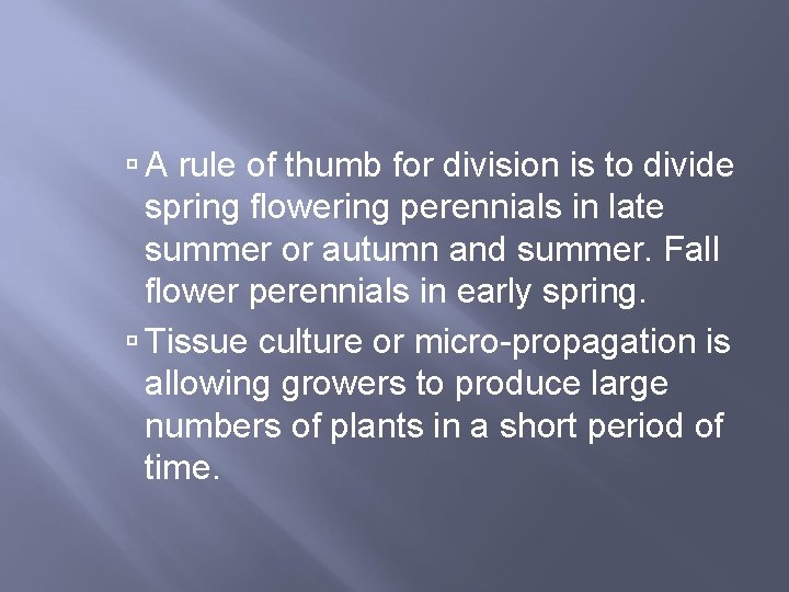  A rule of thumb for division is to divide spring flowering perennials in