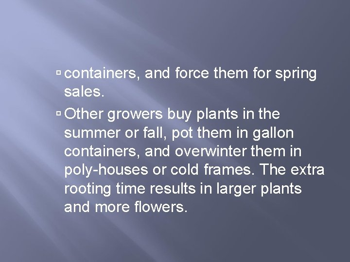  containers, and force them for spring sales. Other growers buy plants in the