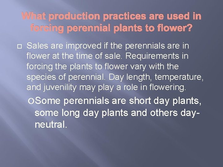 What production practices are used in forcing perennial plants to flower? Sales are improved