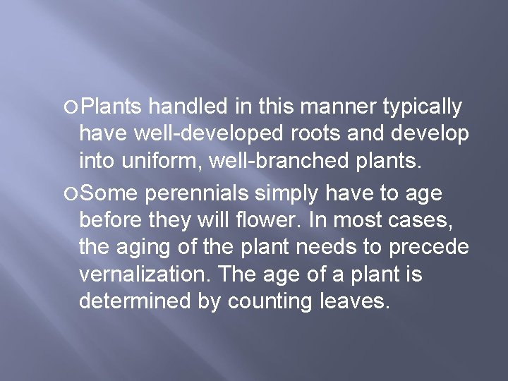  Plants handled in this manner typically have well-developed roots and develop into uniform,