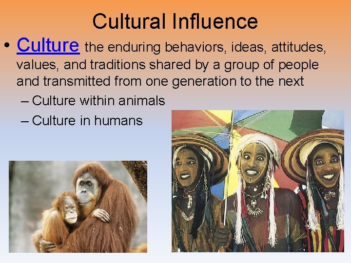 Cultural Influence • Culture the enduring behaviors, ideas, attitudes, values, and traditions shared by