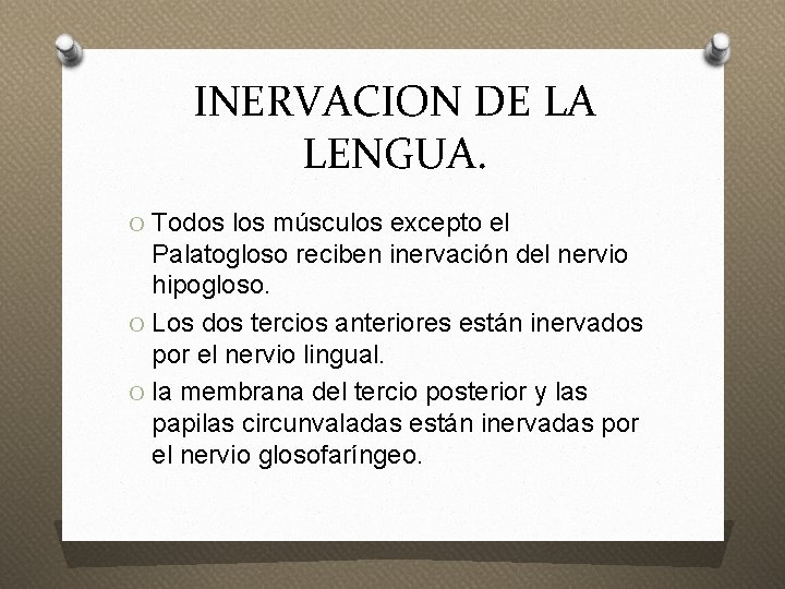 INERVACION DE LA LENGUA. O Todos los músculos excepto el Palatogloso reciben inervación del
