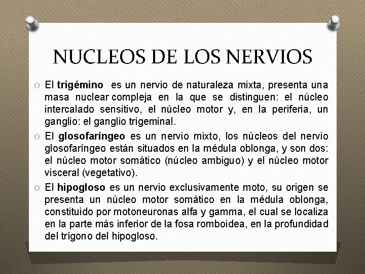 NUCLEOS DE LOS NERVIOS O El trigémino es un nervio de naturaleza mixta, presenta