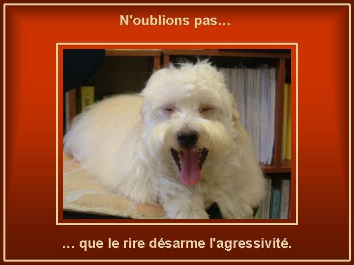 N'oublions pas… … que le rire désarme l'agressivité. 