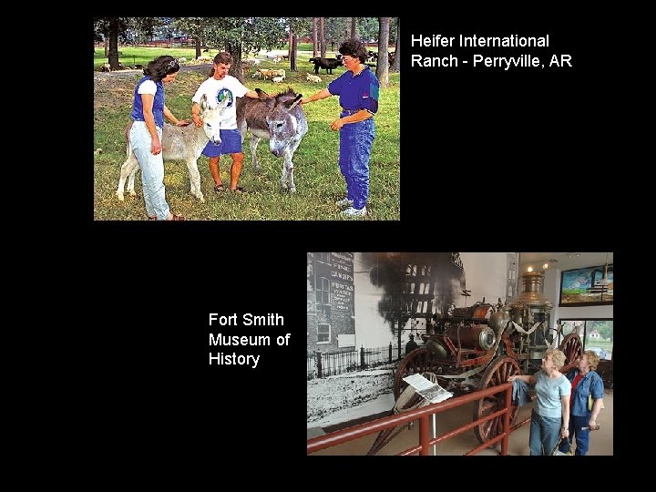 Heifer International Ranch - Perryville, AR Fort Smith Museum of History Heifer International Ranch - Perryville, AR Fort Smith Museum of History