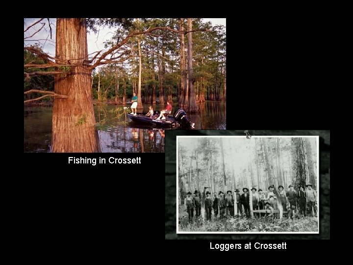 Fishing in Crossett Loggers at Crossett Fishing in Crossett Loggers at Crossett