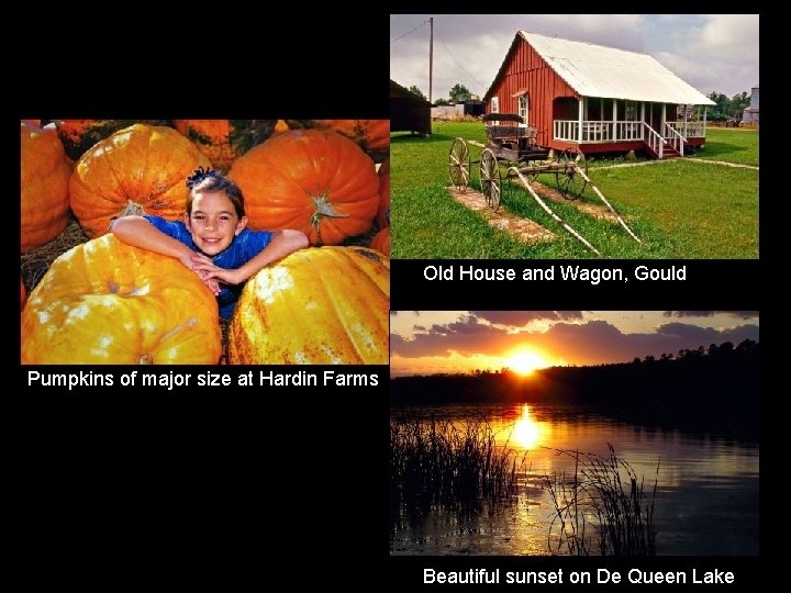 Old House and Wagon, Gould Pumpkins of major size at Hardin Farms Beautiful sunset Old House and Wagon, Gould Pumpkins of major size at Hardin Farms Beautiful sunset