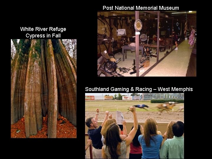 Post National Memorial Museum White River Refuge Cypress in Fall Southland Gaming & Racing Post National Memorial Museum White River Refuge Cypress in Fall Southland Gaming & Racing