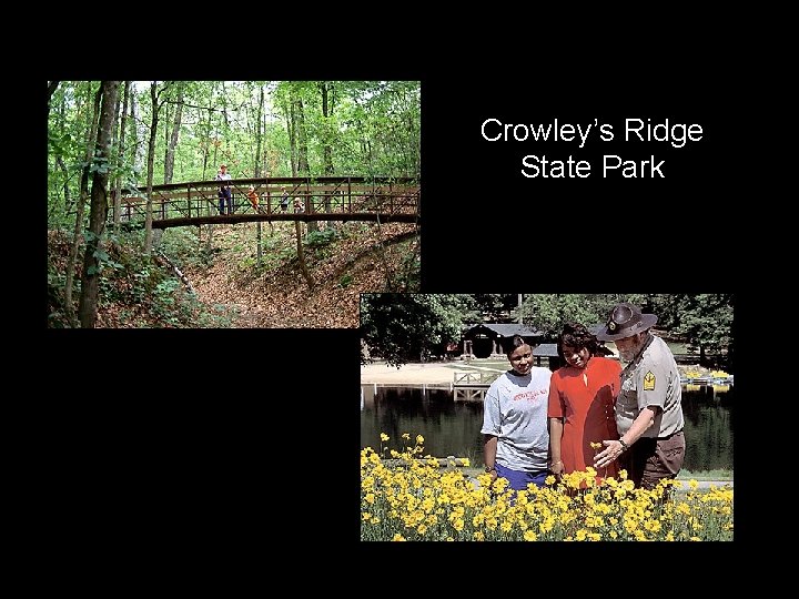 Crowley’s Ridge State Park Crowley’s Ridge State Park