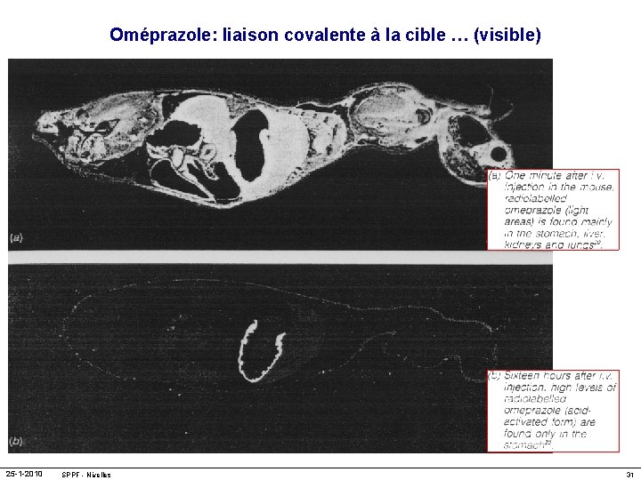 Oméprazole: liaison covalente à la cible … (visible) 25 -1 -2010 SPPF - Nivelles