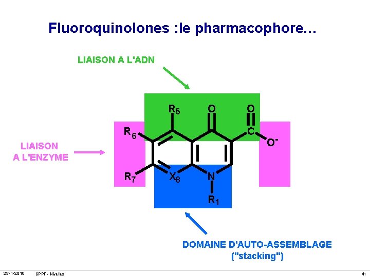 Fluoroquinolones : le pharmacophore… LIAISON A L'ADN R 5 O R 6 C LIAISON