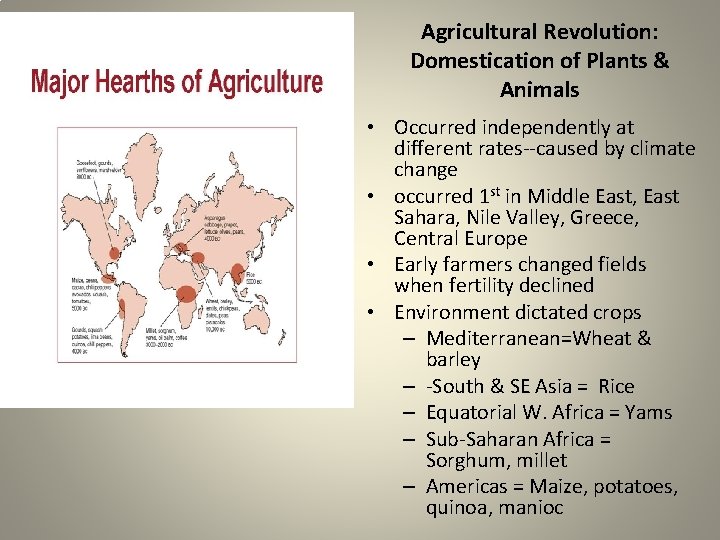 Agricultural Revolution: Domestication of Plants & Animals • Occurred independently at different rates--caused by