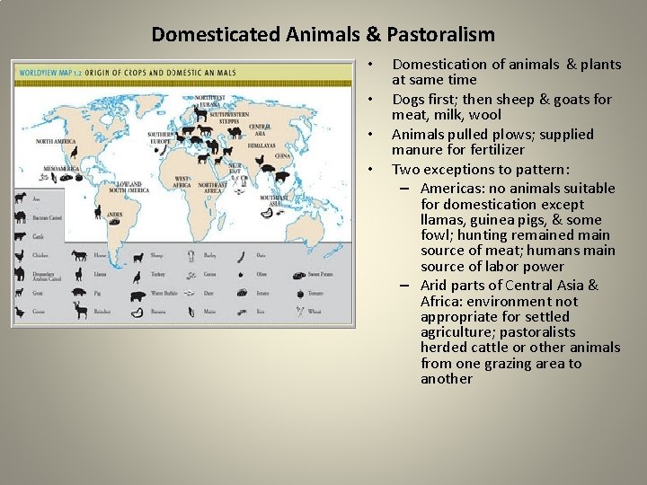 Domesticated Animals & Pastoralism • • Domestication of animals & plants at same time
