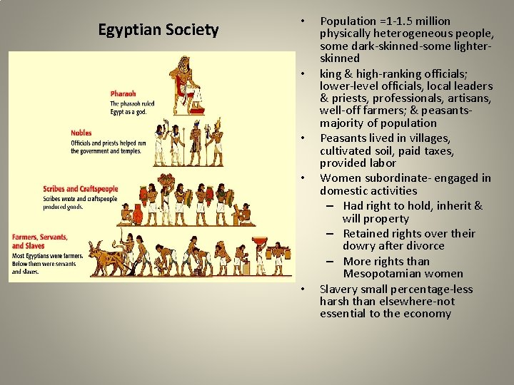 Egyptian Society • • • Population =1 -1. 5 million physically heterogeneous people, some