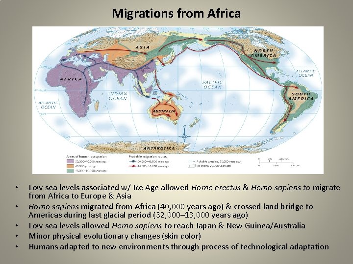 Migrations from Africa • • • Low sea levels associated w/ Ice Age allowed Migrations from Africa • • • Low sea levels associated w/ Ice Age allowed
