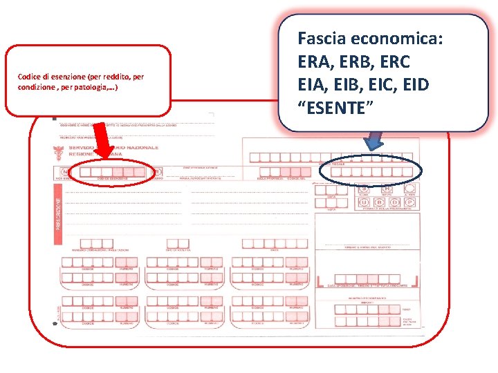 Codice di esenzione (per reddito, per condizione , per patologia, …) Fascia economica: ERA,