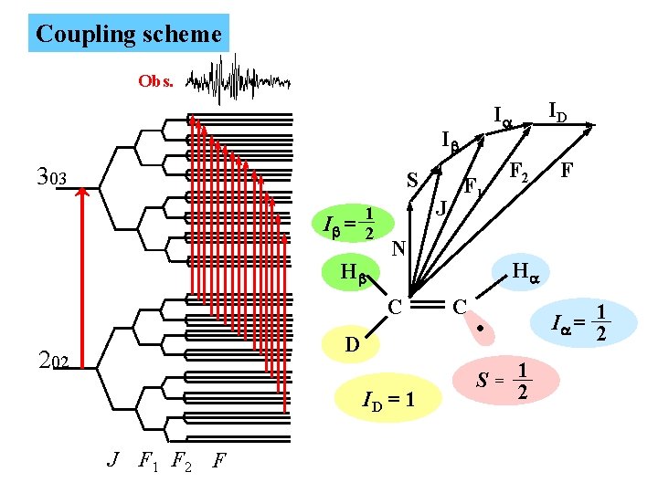 Coupling scheme Obs. Ib 303 S Ib = 1 2 Hb J D 202