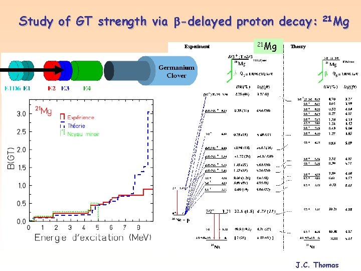 Study of GT strength via -delayed proton decay: 21 Mg Theory Counts Experiment 21