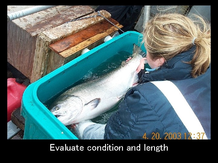 Evaluate condition and length 