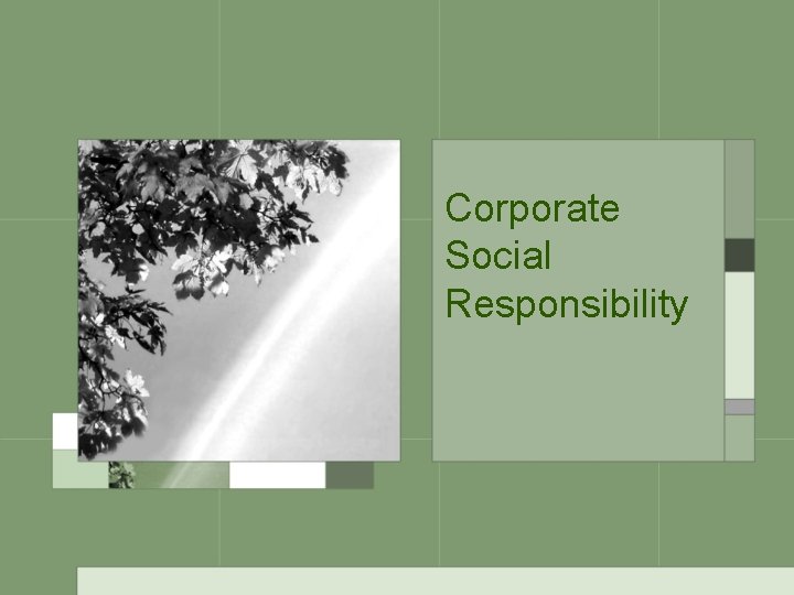 Corporate Social Responsibility 