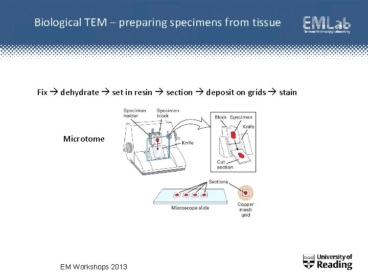 Biological TEM – preparing specimens from tissue Fix dehydrate set in resin section deposit