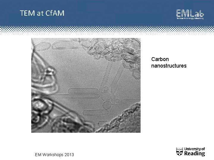 TEM at Cf. AM Carbon nanostructures EM Workshops 2013 