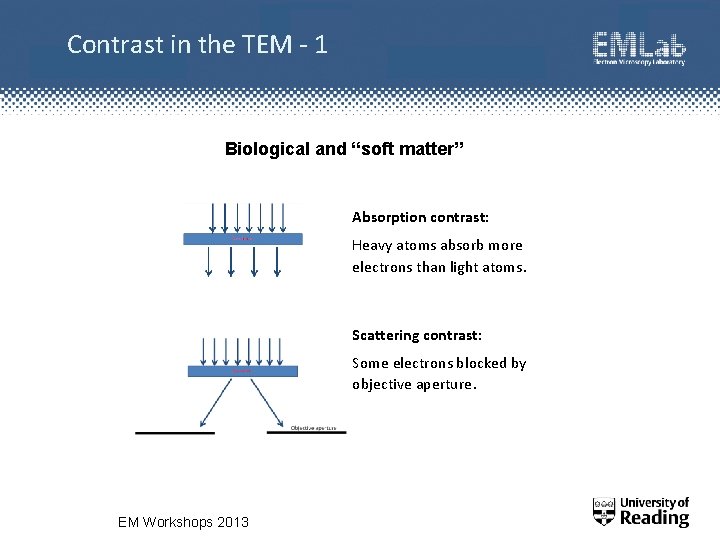 Contrast in the TEM - 1 Biological and “soft matter” Absorption contrast: Heavy atoms