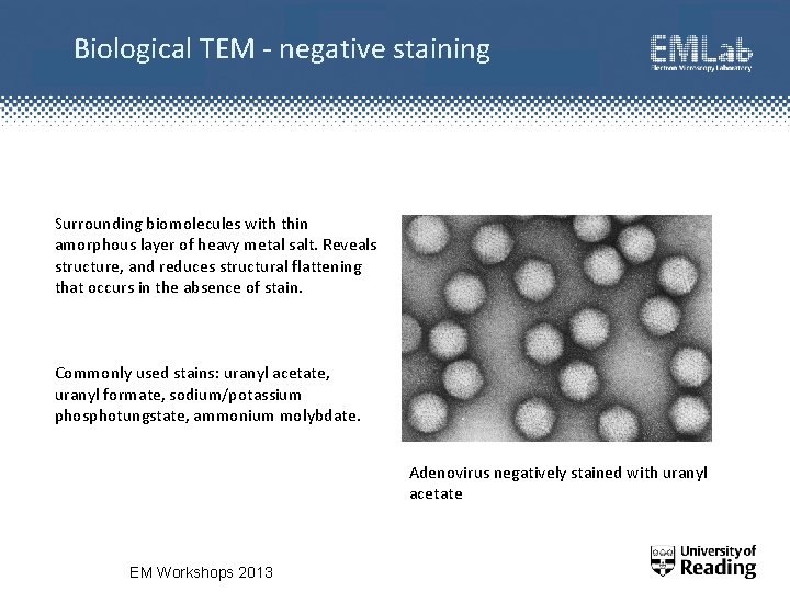 Biological TEM - negative staining Surrounding biomolecules with thin amorphous layer of heavy metal