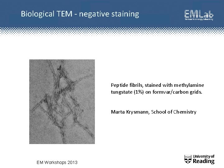 Biological TEM - negative staining Peptide fibrils, stained with methylamine tungstate (1%) on formvar/carbon