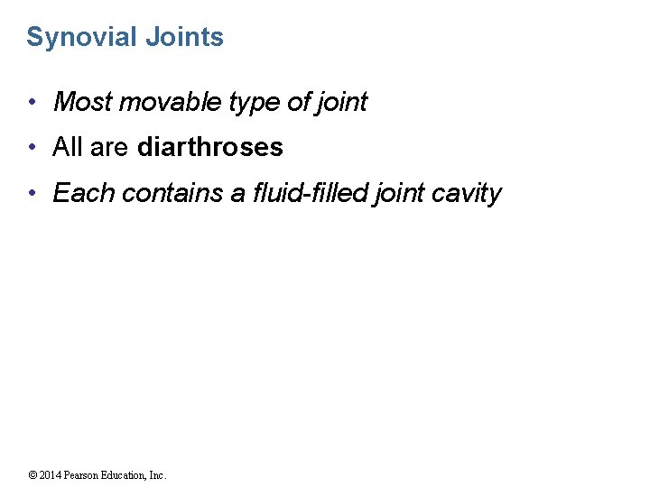 Synovial Joints • Most movable type of joint • All are diarthroses • Each