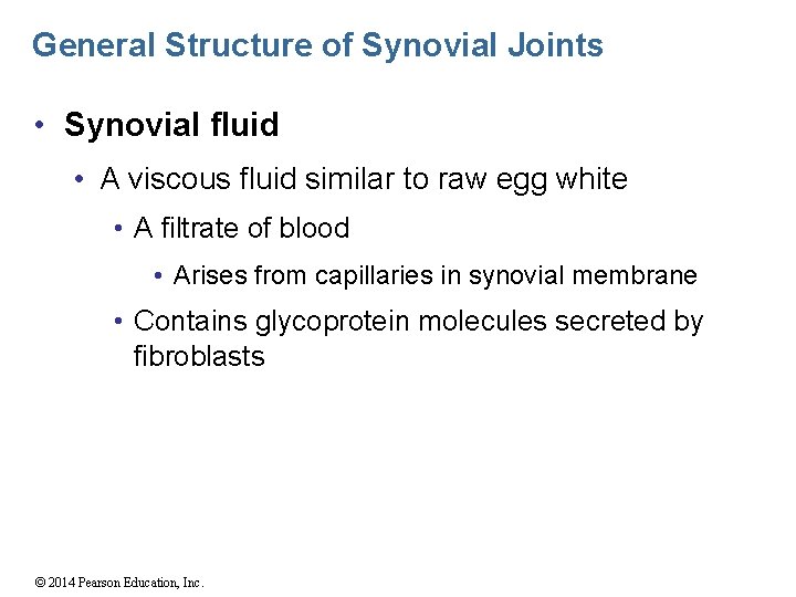 General Structure of Synovial Joints • Synovial fluid • A viscous fluid similar to