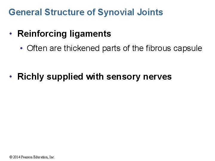 General Structure of Synovial Joints • Reinforcing ligaments • Often are thickened parts of