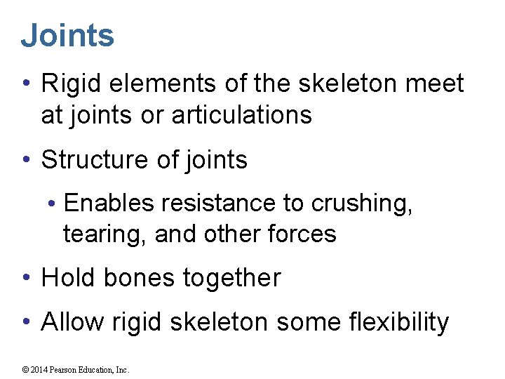 Joints • Rigid elements of the skeleton meet at joints or articulations • Structure